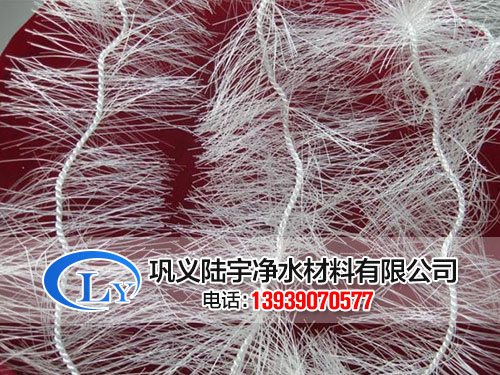 ���w��������